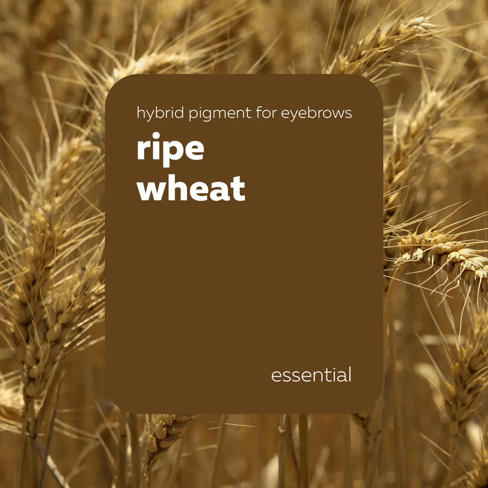 Pigmento Brovi Essential Ripe Wheat - Imagen 3
